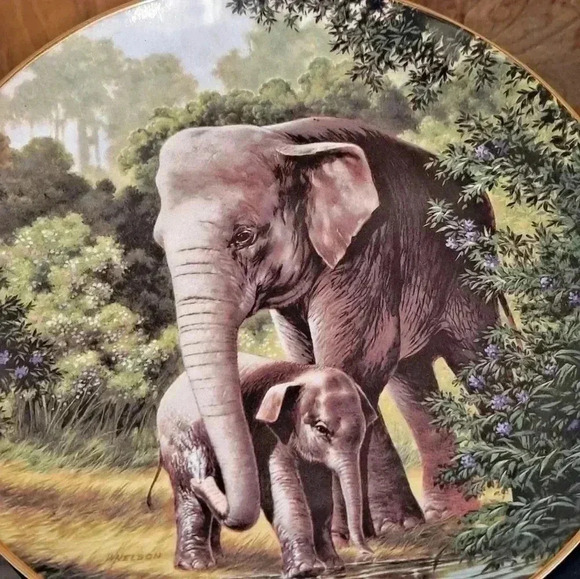 The Asian Elephant by Will Nelson collectors plate - Picture 2 of 6